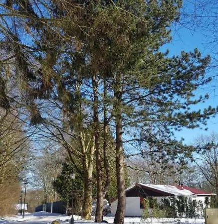 Vakantiehuis Dartien Exloo Exterior photo